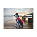 Red Raincoat Max