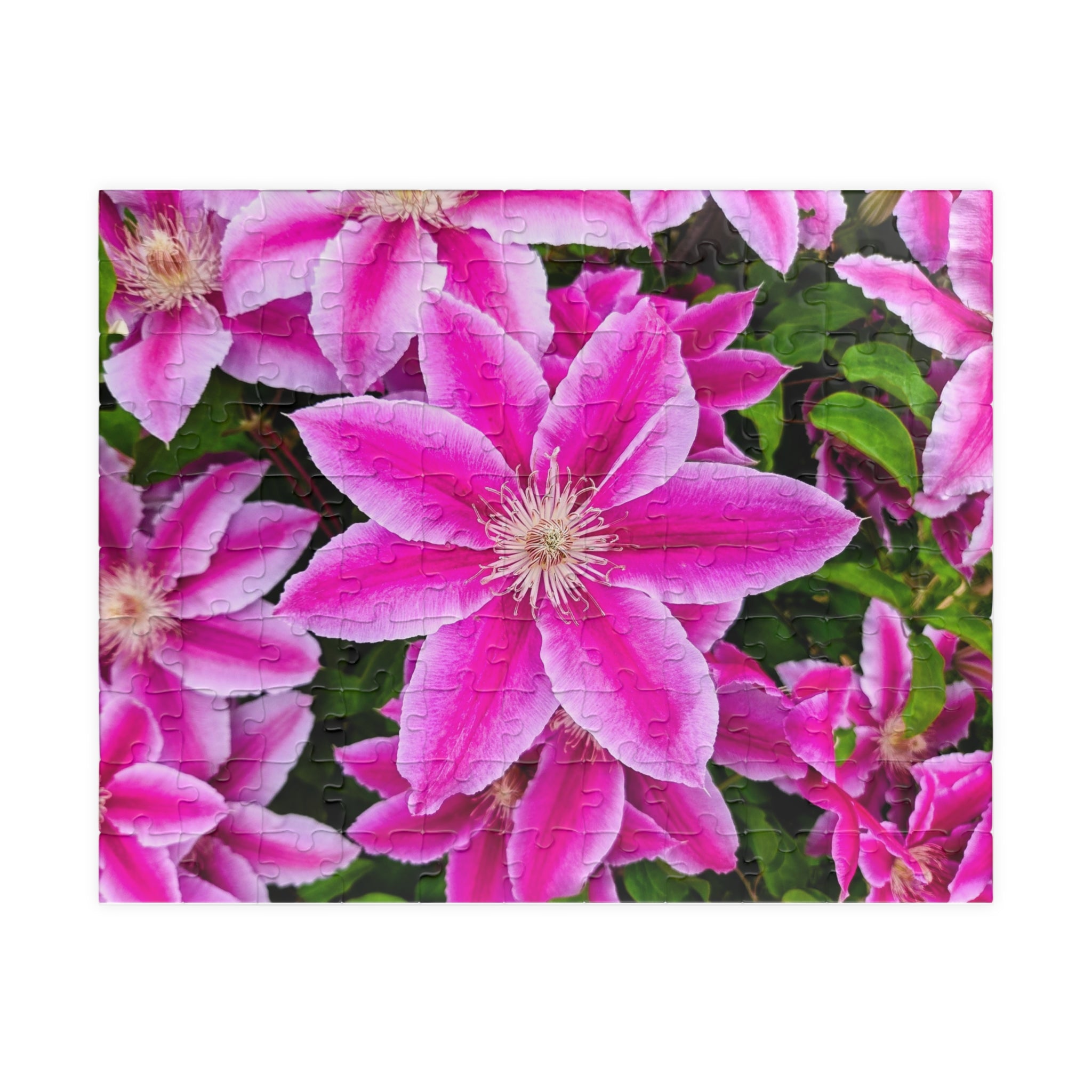 Clematis Puzzle