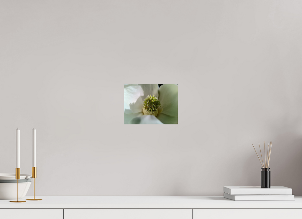 8 x 6″, Photo Print On Fuji Crystal DP II Magnolia bloom 2026