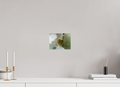 8 x 6″, Photo Print On Fuji Crystal DP II Magnolia bloom 2026