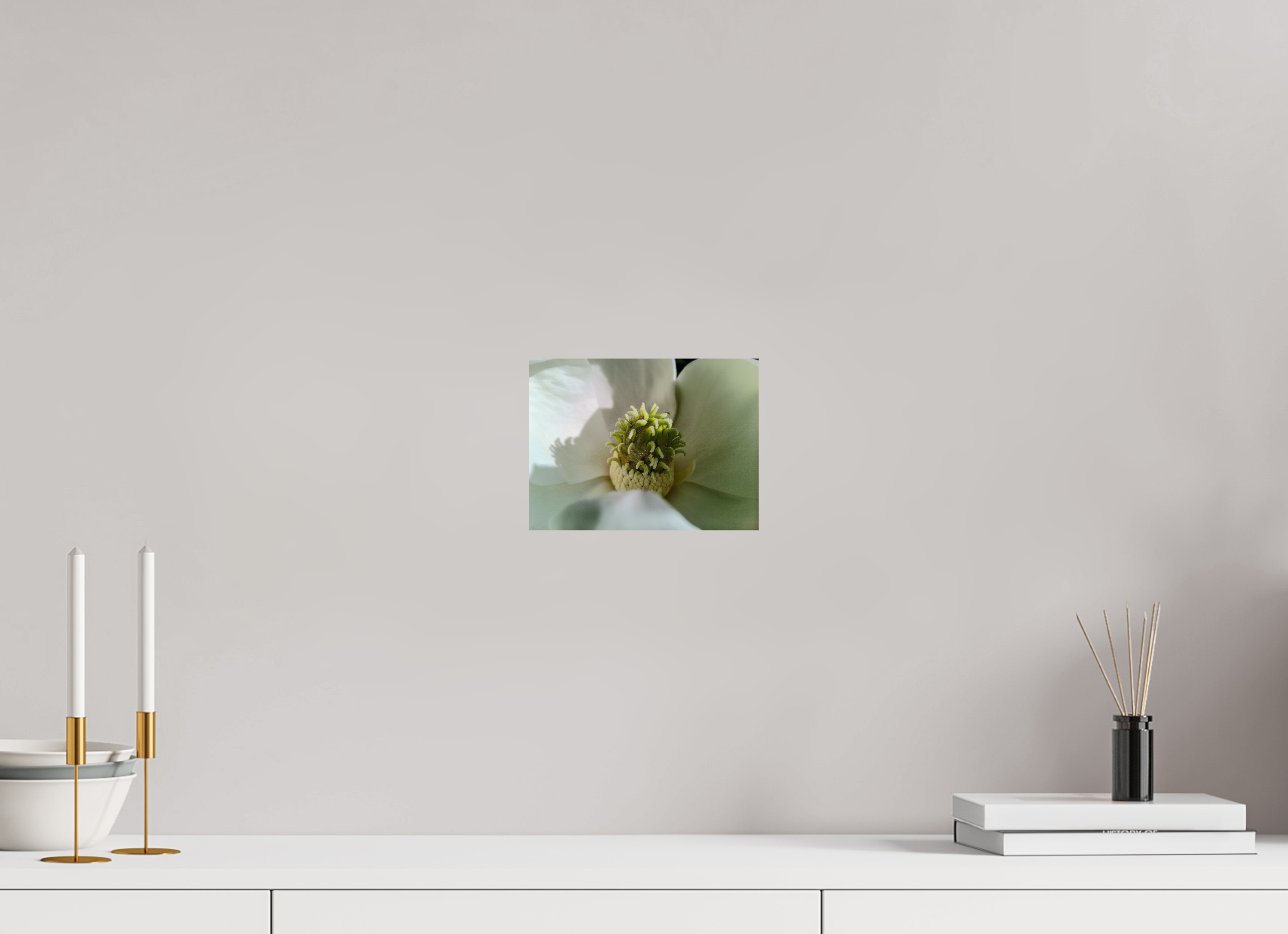 8 x 6″, Photo Print On Fuji Crystal DP II Magnolia bloom 2026