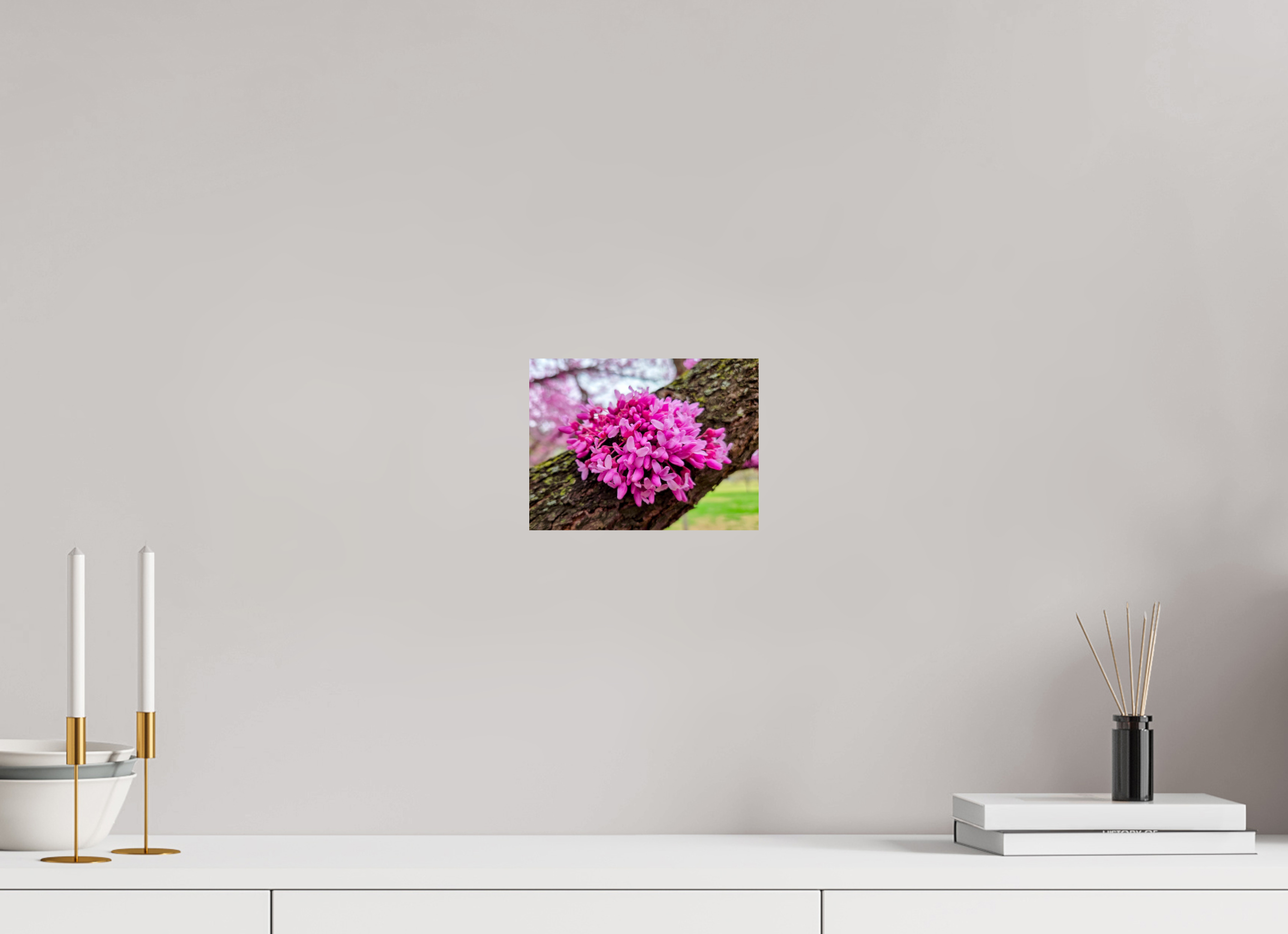 8 x 6″, Photo Print On Fuji Crystal DP II Capital Redbud