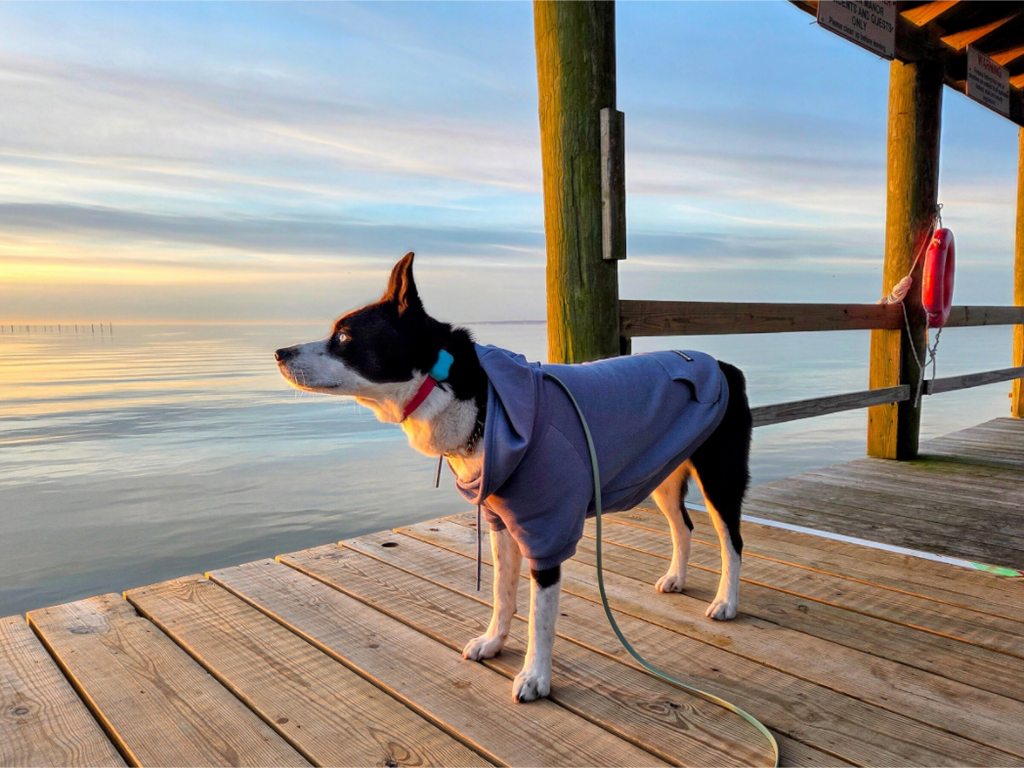 Main image Hoodie Max