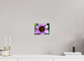 8 x 6″, Photo Print On Fuji Crystal DP II Coneflower Summer 2026