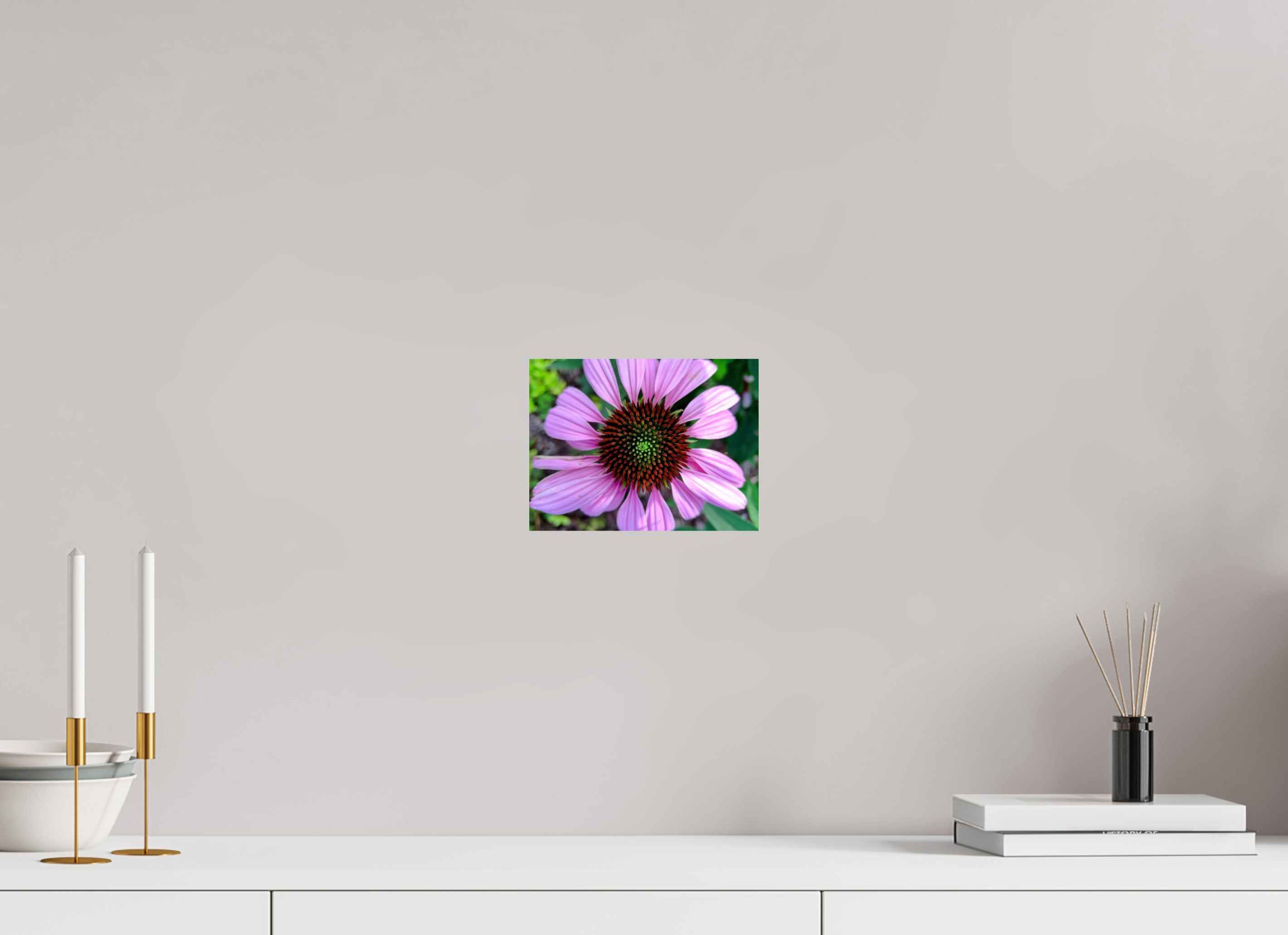 8 x 6″, Photo Print On Fuji Crystal DP II Coneflower Summer 2026